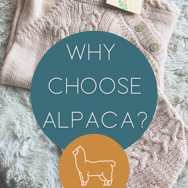 The Benefits of Alpaca Fiber for Your Little One