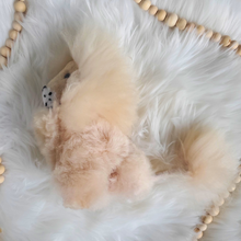 Load image into Gallery viewer, Blond Lion