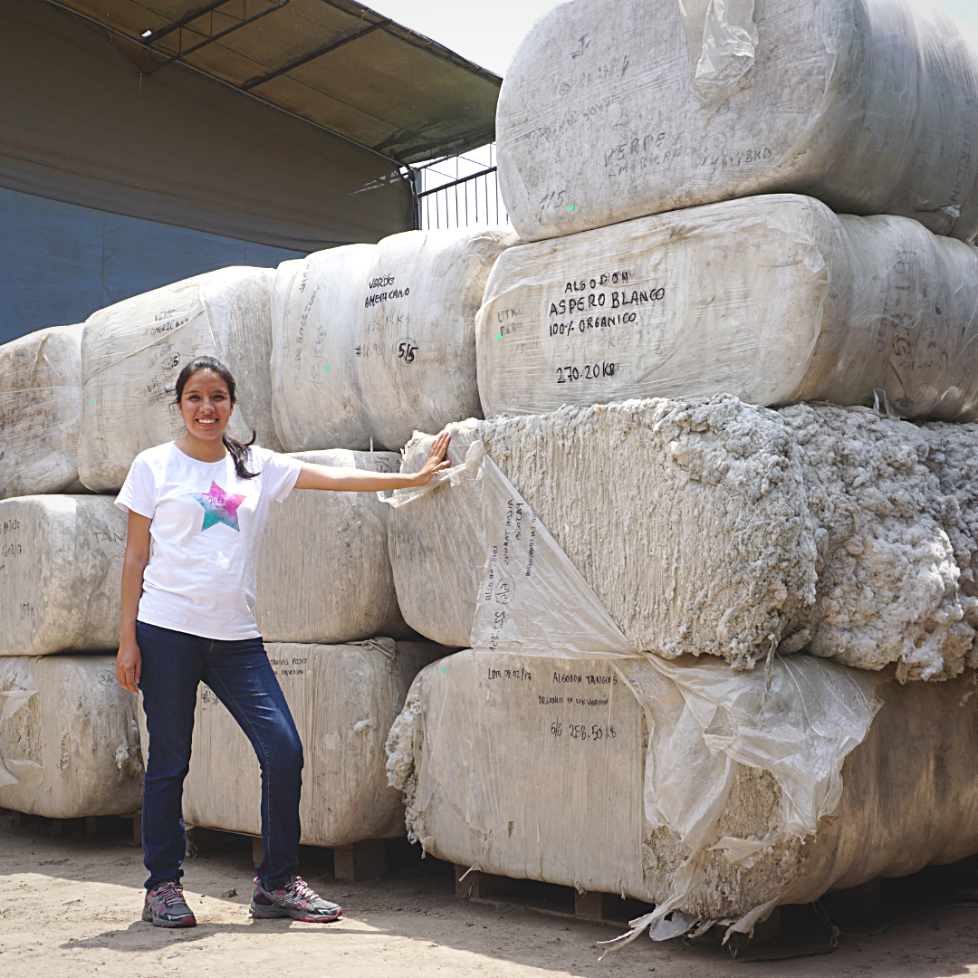 raw organic cotton for baby clothes in Peru with owner of Child's Way standing in front of the cotton
