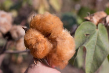 Load image into Gallery viewer, Organic Peruvian Native Cotton Undyed Children's Face Masks